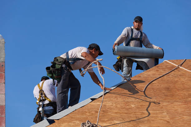 Best New Roof Installation  in Edina, MN