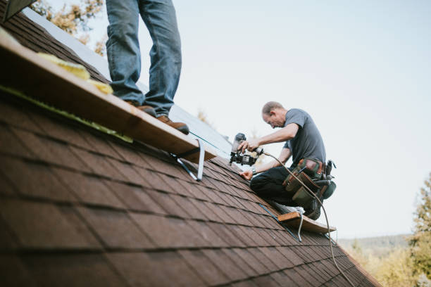 Trusted Edina, MN Roofing Contractor Experts