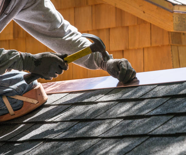 Best Roof Waterproofing Services  in Edina, MN